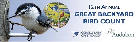 http://www.birds.cornell.edu/NetCommunity/view.image?Id=1454