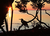Honorable Mention&nbsp; People's Choice - Kathy Lerche