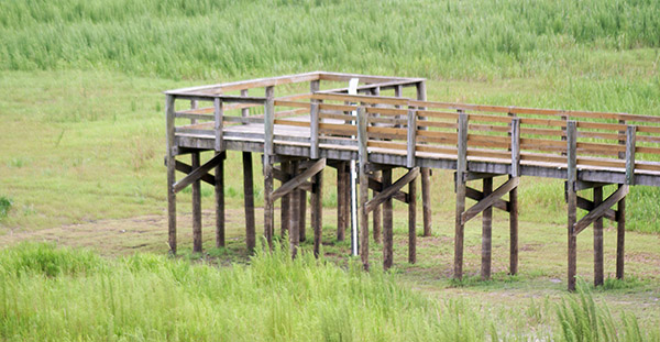 Crews Lake