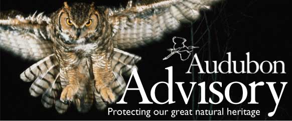 Audubon Advisor