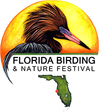 Florida Birding Festival