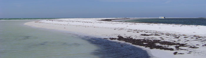Anclote Sandbar Anclote Sandbar